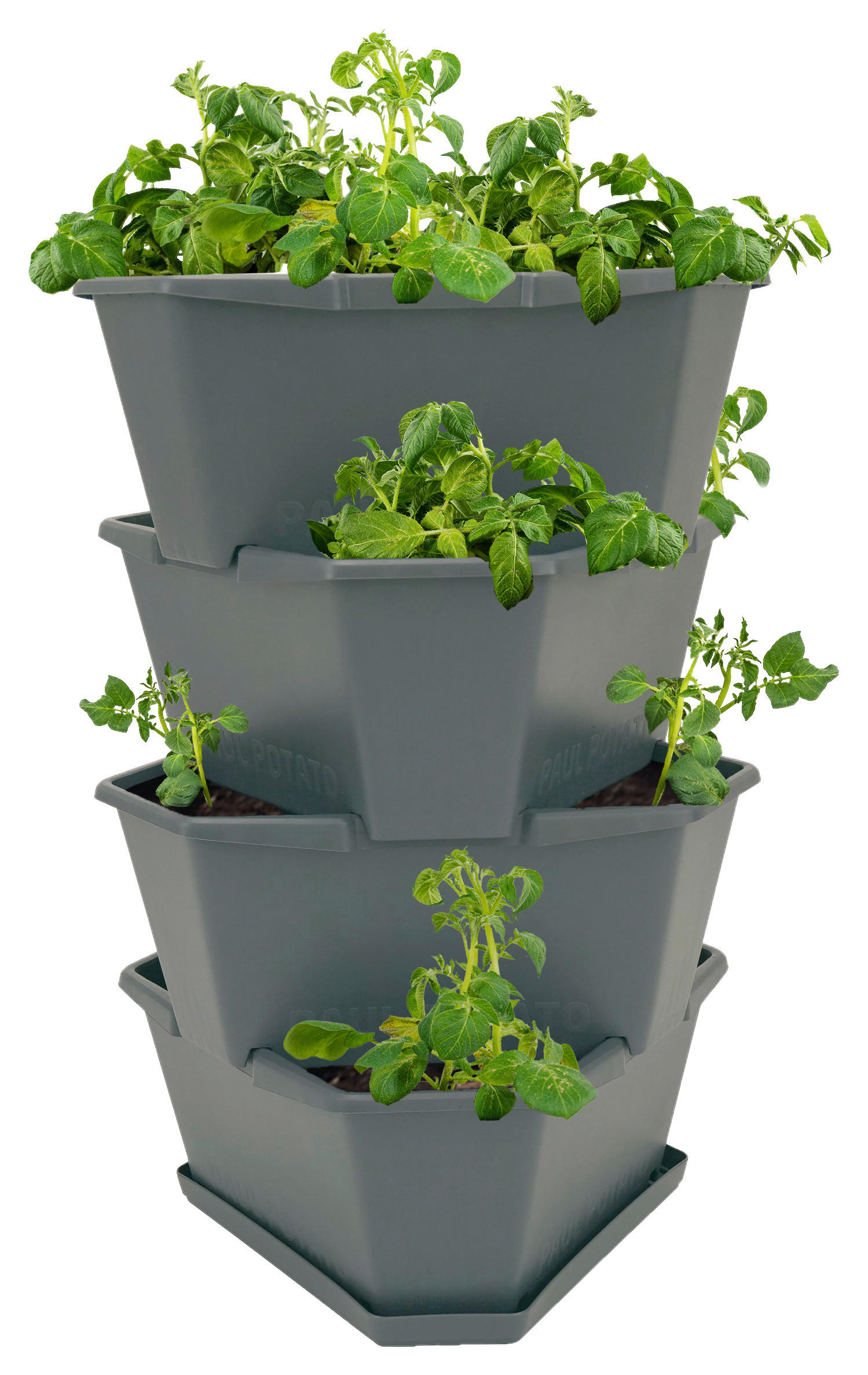 PFLANZENTOPF  PAUL POTATO  - Anthrazit, Basics, Kunststoff (44/65/44cm) - Gusta Garden