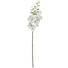 KUNSTBLUME - Creme/Grün, Basics, Kunststoff/Textil (83cm) KUNSTBLUME - Creme/Grün, Basics, Kunststoff/Textil (83cm)