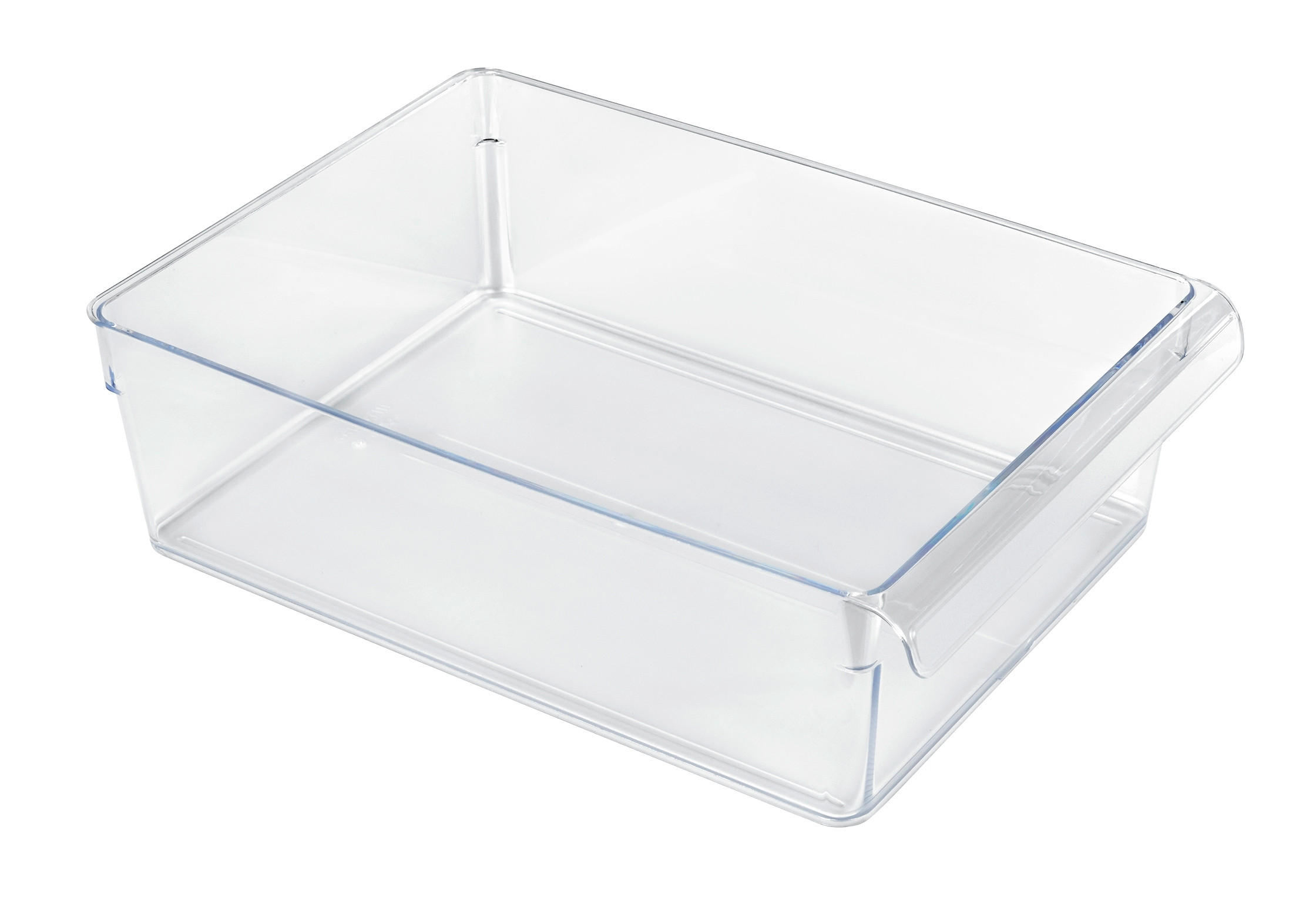 KÜHLSCHRANKBOX  - Transparent, Basics, Kunststoff (31/22/9cm) - Rotho