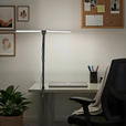 LED-KLEMMLEUCHTE Hayward 80/35/71,5 cm  - Schwarz, Basics, Kunststoff/Metall (80/35/71,5cm) - Novel