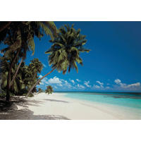 FOTOTAPETE Maldives  - Multicolor, Natur, Papier (388/270cm) - Komar
