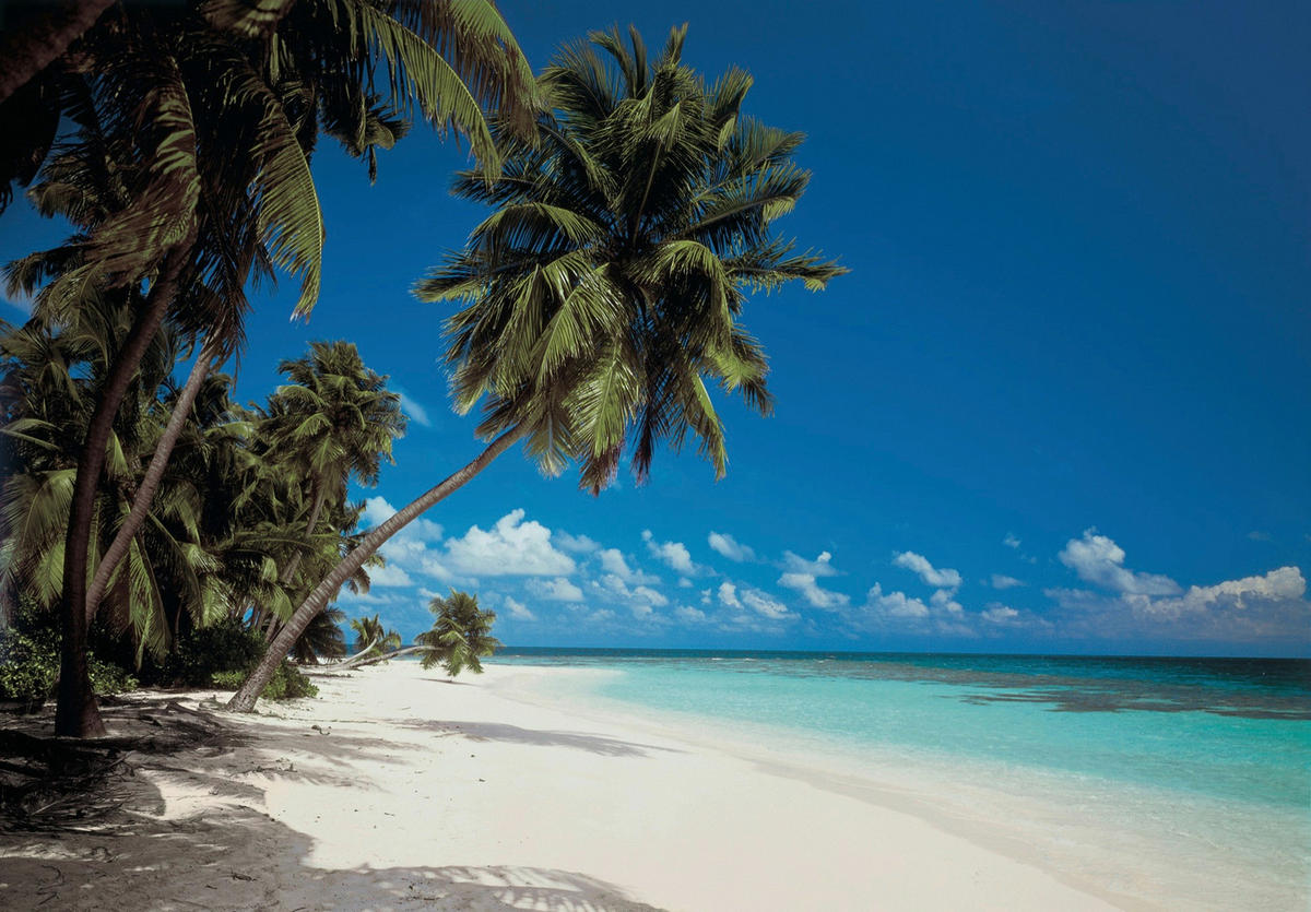 FOTOTAPETE Maldives  - Multicolor, Natur, Papier (388/270cm) - Komar