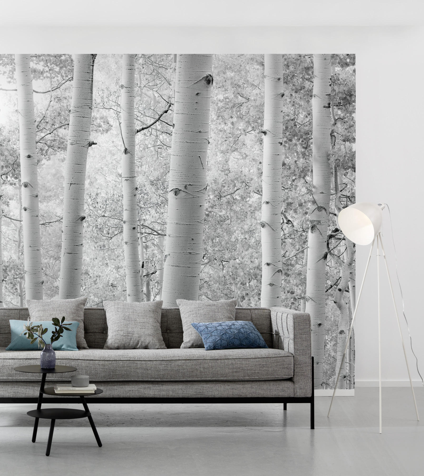 FOTOTAPETE - Schwarz/Weiß, Trend, Textil (450/280cm)