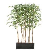KUNSTPFLANZE Ficus Benjamina 160 cm  - Schwarz/Braun, Design, Holz/Kunststoff (160cm) - P & B