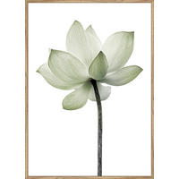 ART PRINT 51,2/71,2 cm  - culoare lemn stejar/multicolor, Basics, material pe bază de lemn (51,2/71,2cm) - Monee
