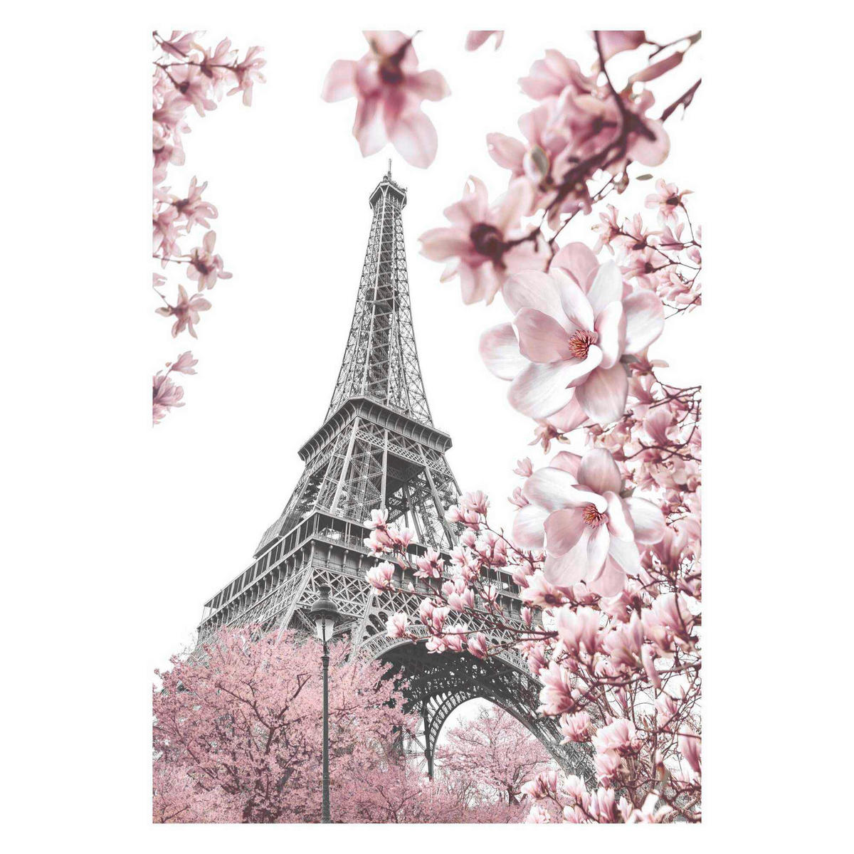 POSTER 50/70 cm  - Multicolor, Natur, Papier (50/70cm) - Reinders!