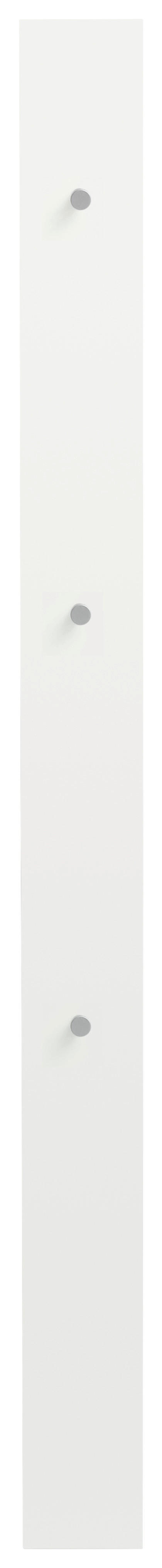 GARDEROBENPANEEL 14/170/5 cm  - Silberfarben/Weiß, Design (14/170/5cm) - Dieter Knoll