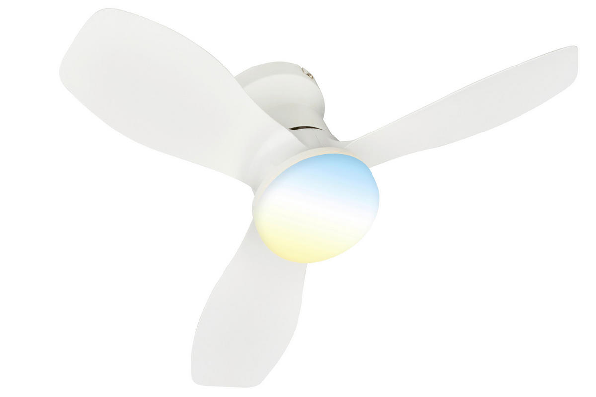 DECKENVENTILATOR - Weiß, Design, Kunststoff (60/19cm)