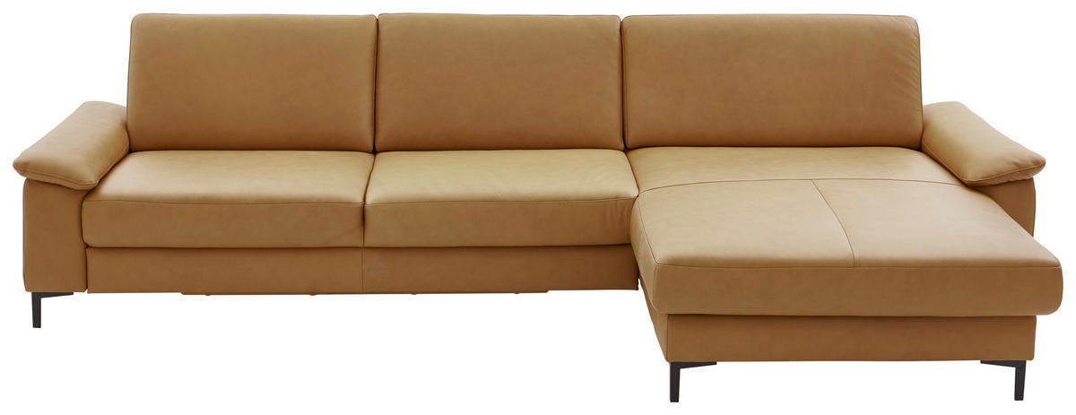 ECKSOFA  in Echtleder Currygelb  334/176 cm  - Currygelb/Schwarz, Design, Leder/Metall (334/176cm) - Dieter Knoll