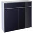 SCHUHSCHRANK - Alufarben/Schwarz, Design, Glas/Holzwerkstoff (102/98/33,5cm) - Dieter Knoll