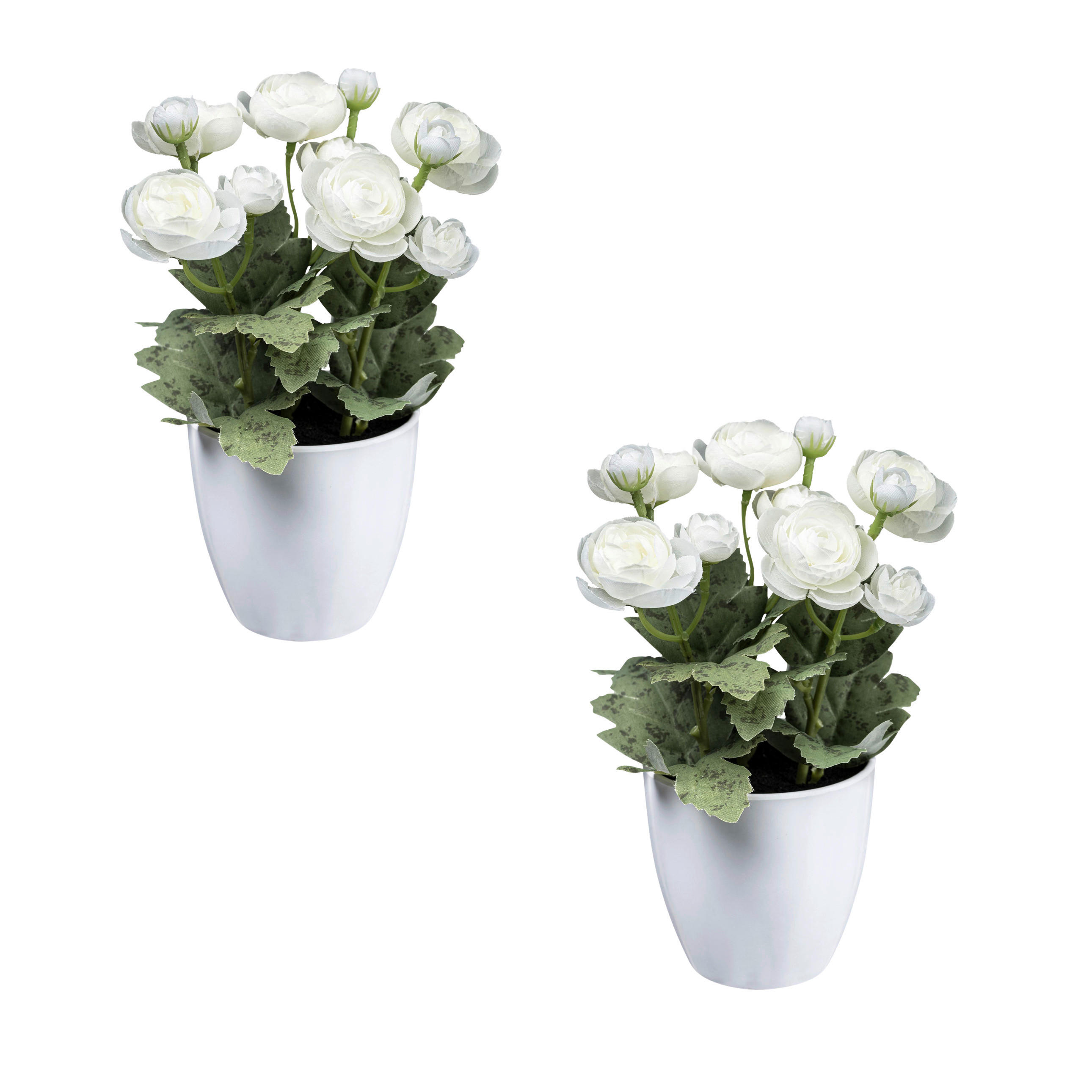 KUNSTPFLANZE Ranunkel 20 cm  - Weiß/Grün, Design, Keramik/Kunststoff (20cm) - P & B