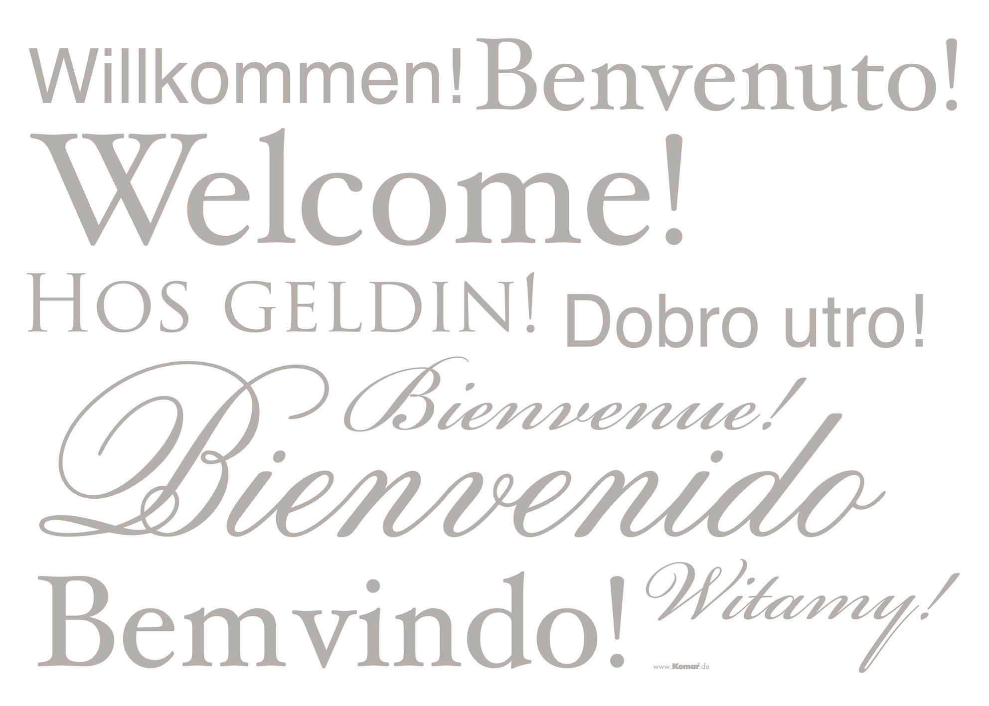 DEKOSTICKER 50/70 cm     - Klar/Grau, LIFESTYLE, Kunststoff (50/70cm) - Komar