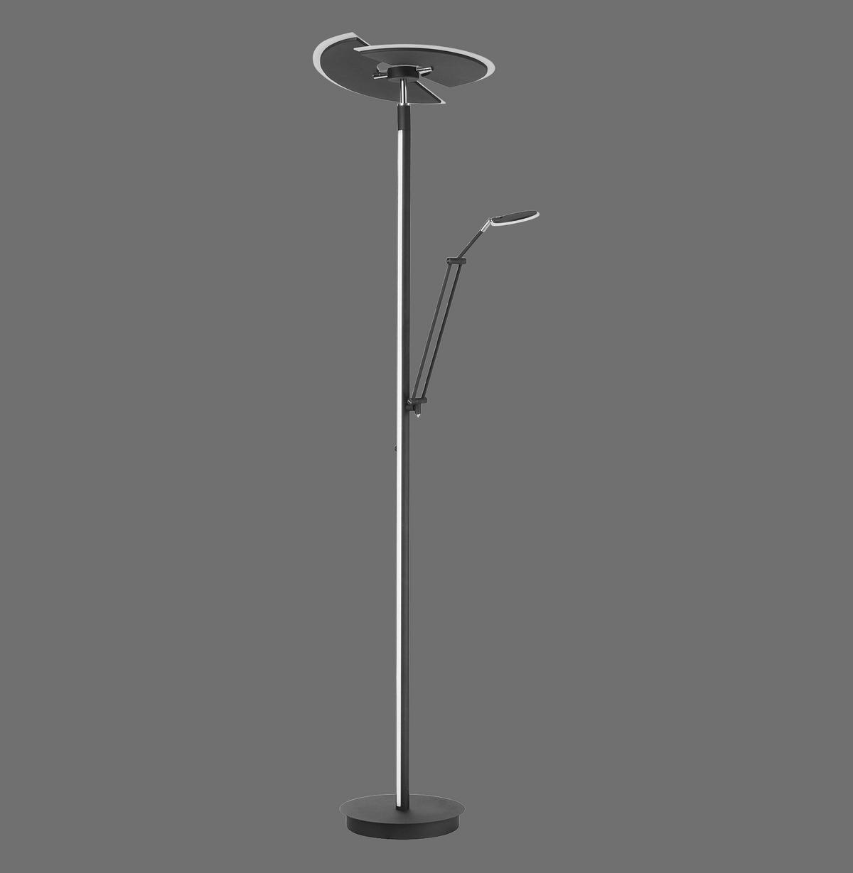LED STOJACÍ LAMPA, 87/44/202 cm - antracitová, Design, kov/plast (87/44/202cm)