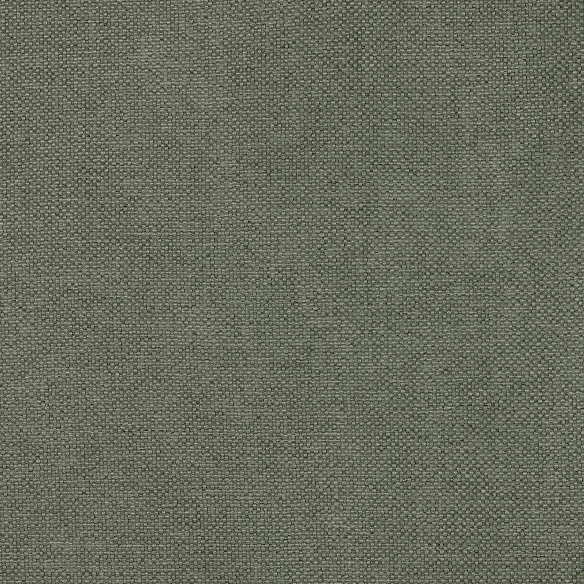 ÖSENSCHAL NEAL Verdunkelung 132/245 cm   - Grün, Basics, Textil (132/245cm) - Dieter Knoll