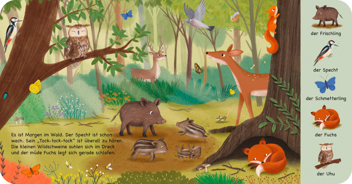 BUCH  - Multicolor, Basics, Papier (11,5/11/0,9cm) - Carlsen