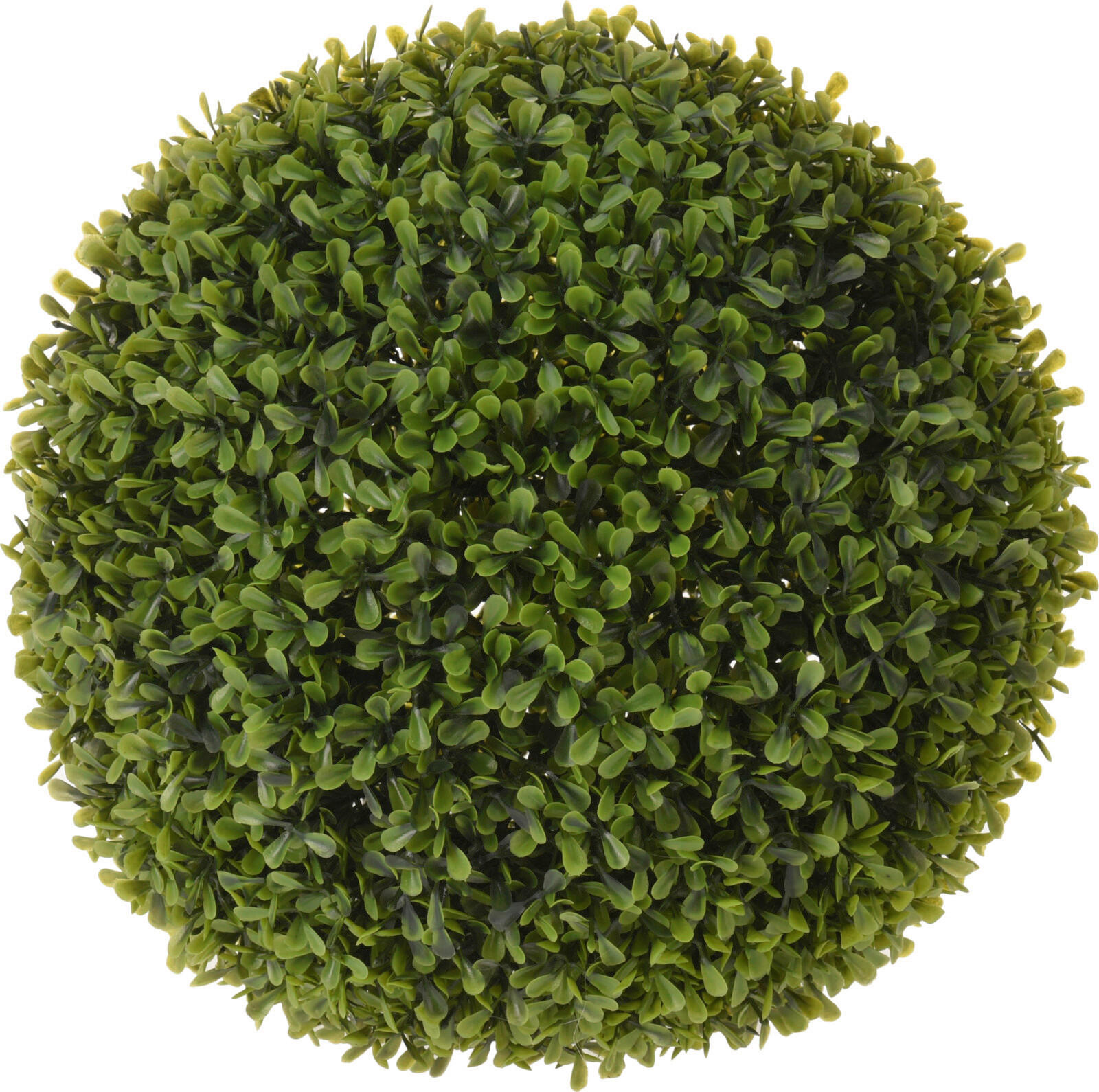 Plantă Artificială - Basics, plastic (30cm)