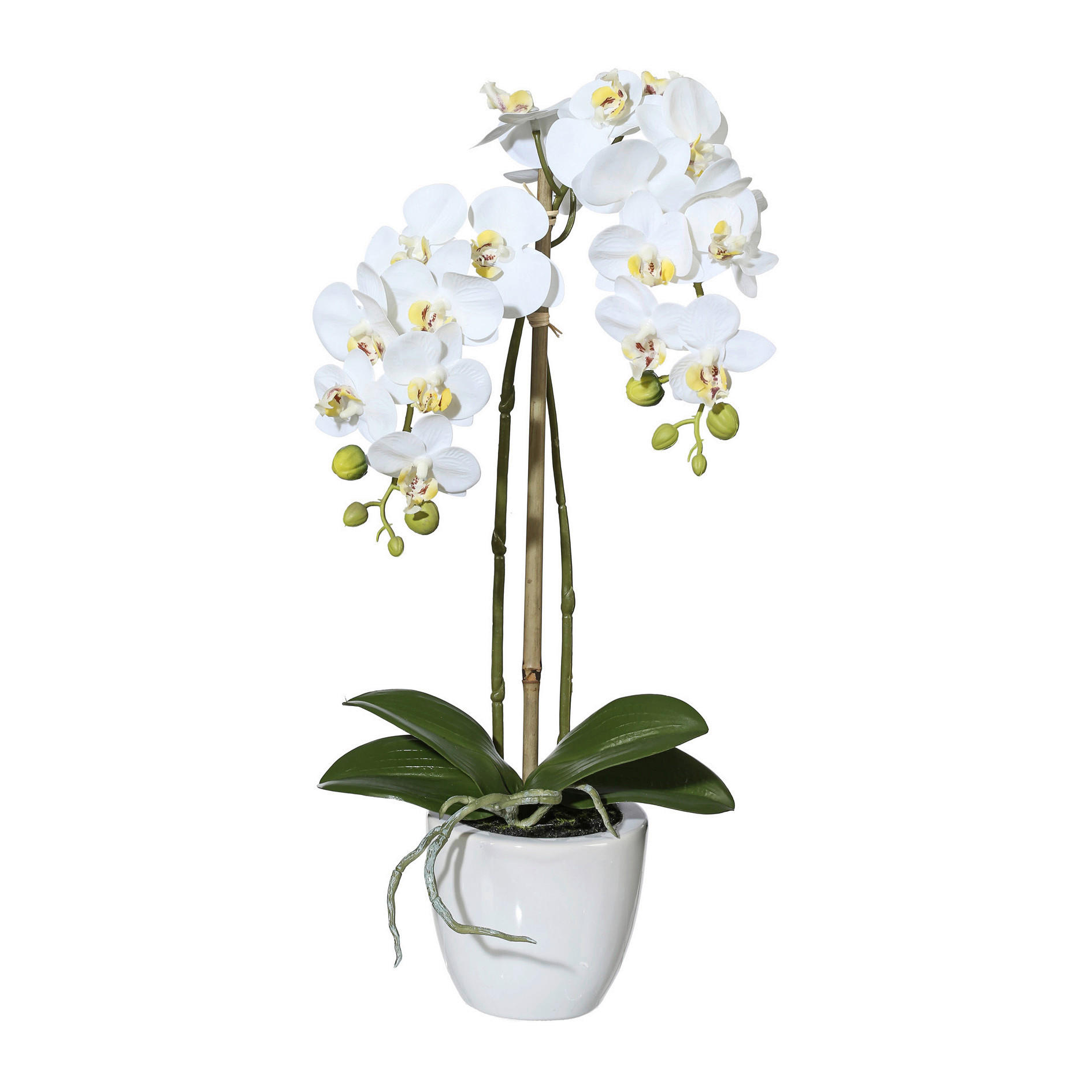 KUNSTBLUME Orchidee  - Weiß/Grün, Basics, Keramik/Kunststoff (43cm)