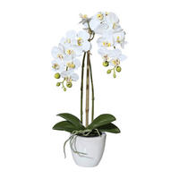 KUNSTBLUME Orchidee  - Weiß/Grün, Basics, Keramik/Kunststoff (43cm)