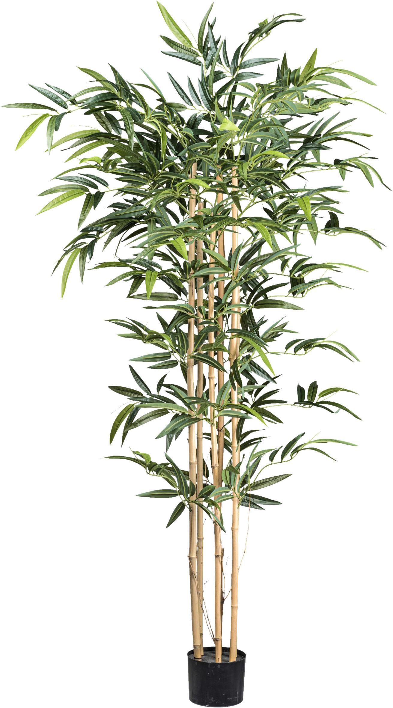 KUNSTPFLANZE Bambus 150 cm  - Schwarz/Naturfarben, Design, Kunststoff (150cm)