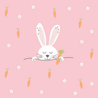 SERVIETTE    - Multicolor, Natur, Papier (17.5/17.5cm) - PPD