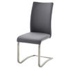 SCHWINGSTUHL  in Edelstahl Echtleder  - Edelstahlfarben/Grau, Design, Leder/Metall (43/103/52cm) - Livetastic