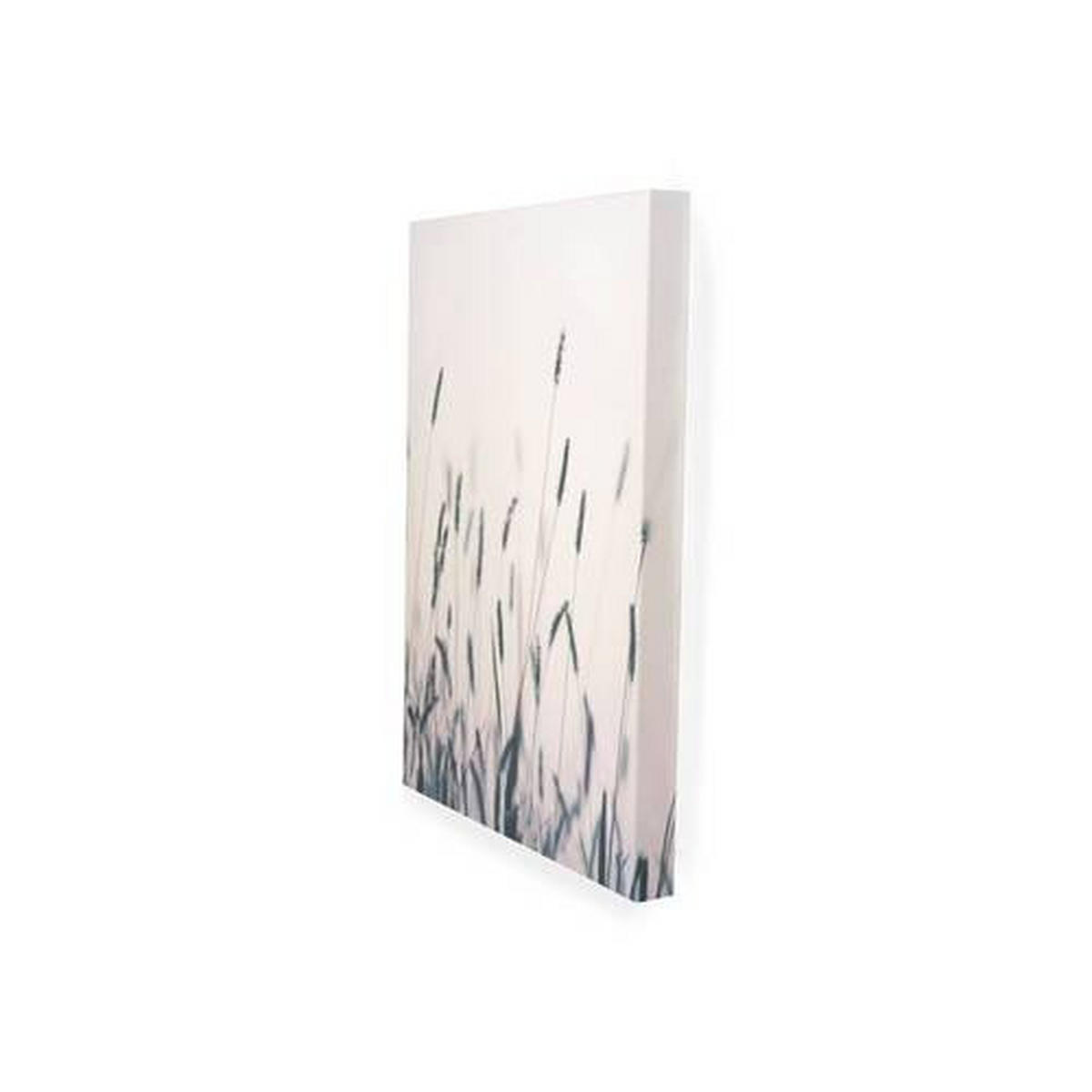 LEINWANDBILD Landschaft & Natur 60/80/3 cm  - Multicolor, Basics, Wellpappe/Textil (60/80/3cm)