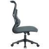 DREHSTUHL Netzbespannung Grau  - Schwarz/Grau, MODERN, Holz/Kunststoff (65/108/116/66cm) - MID.YOU