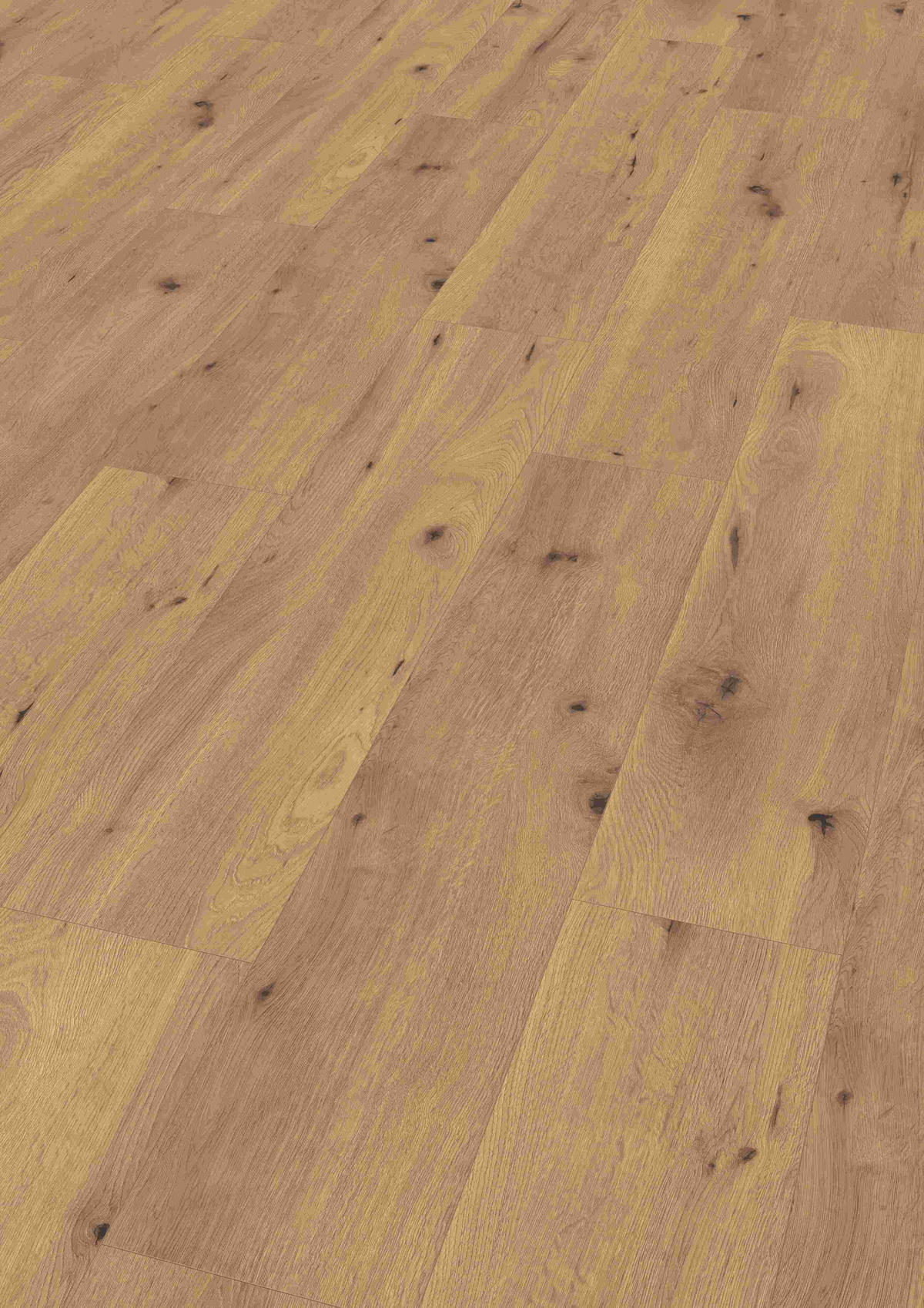 LAMINATBODEN Eiche Authentic  per  m² - Eichefarben, KONVENTIONELL, Holzwerkstoff (129,2/24,6/0,8cm) - Venda