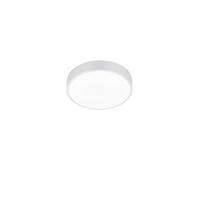 LED-DECKENLEUCHTE  31/6,5 cm    - Basics (31/6,5cm) - Trio Leuchten