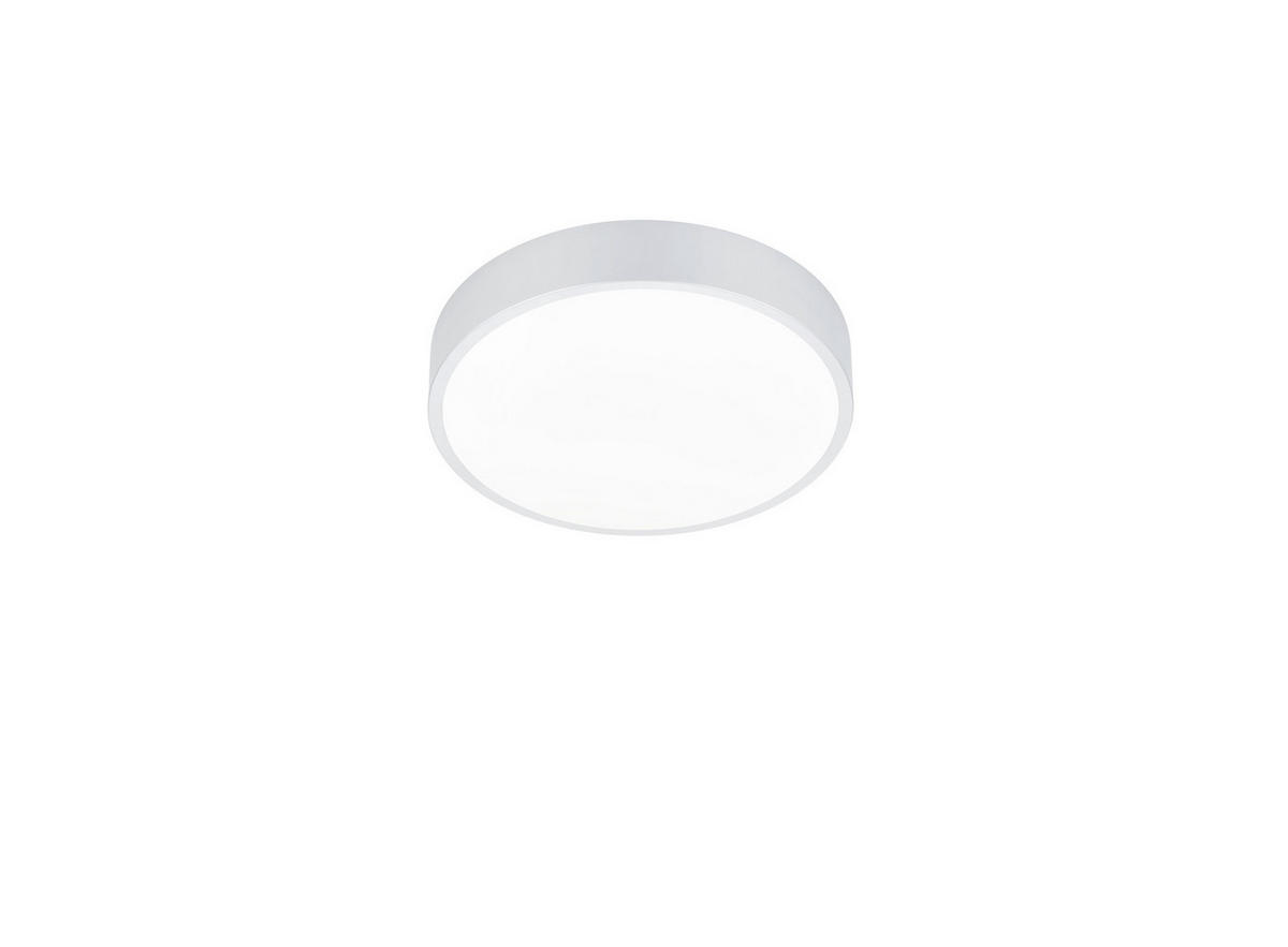 LED-DECKENLEUCHTE  31/6,5 cm    - Basics (31/6,5cm) - Trio Leuchten