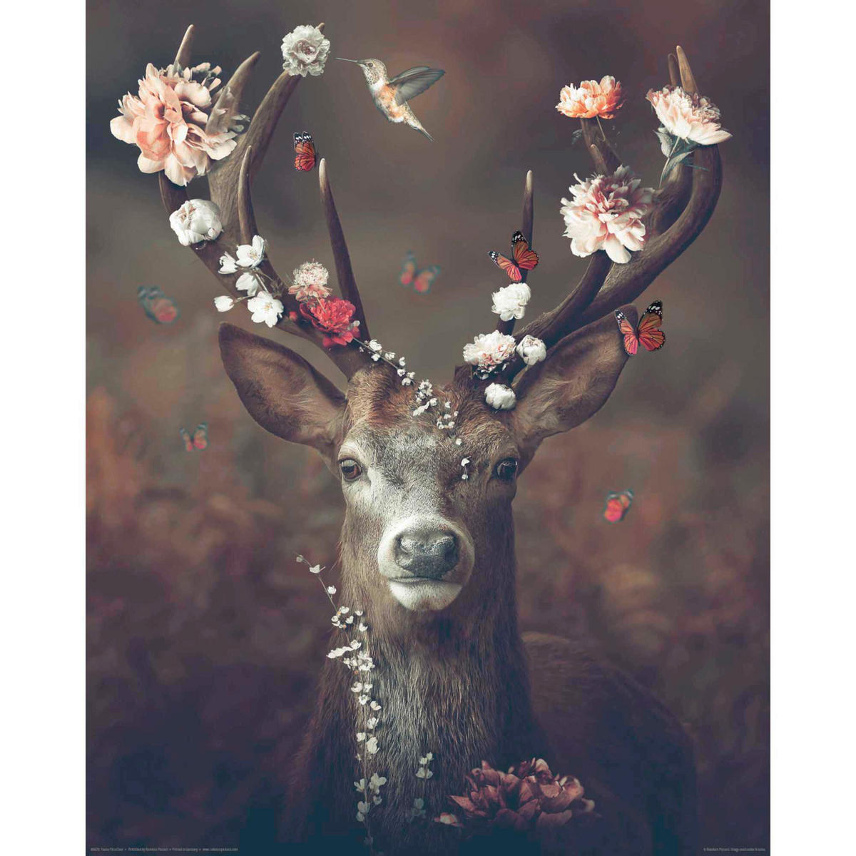 POSTER 40/50 cm  - Multicolor, LIFESTYLE, Papier (40/50cm) - Reinders!