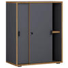 AKTENSCHRANK Anthrazit, Honigeiche  - Honigeiche/Anthrazit, Design, Holzwerkstoff (60/74/37cm) - MID.YOU