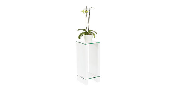 BLUMENTISCH Glas, Holzwerkstoff - Klar/Weiß, Design, Glas/Holzwerkstoff (25/25/60cm) - Carryhome