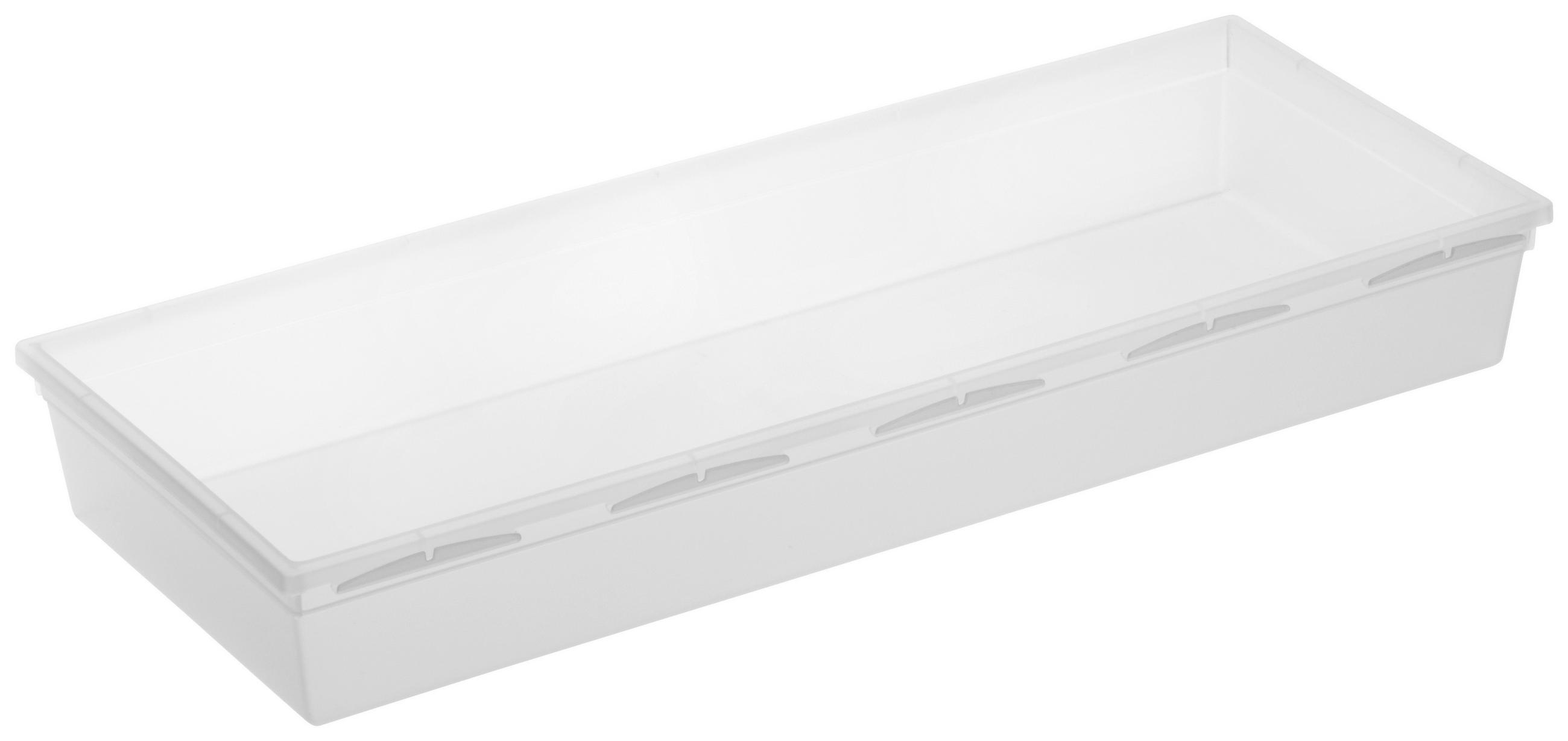 ORGANIZÉR - čiré, Basics, plast (38/15/5cm) - Rotho