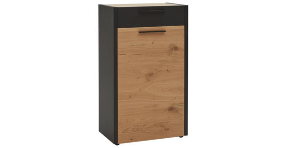 SCHUHSCHRANK 61/103/37 cm - Eichefarben/Schwarz, Design, Holz/Metall (61/103/37cm) - Dieter Knoll