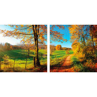 OBRAZ NA SKLE, krajina a příroda, 20/40 cm  - vícebarevná, Natur, sklo (20/40cm) - Euroart
