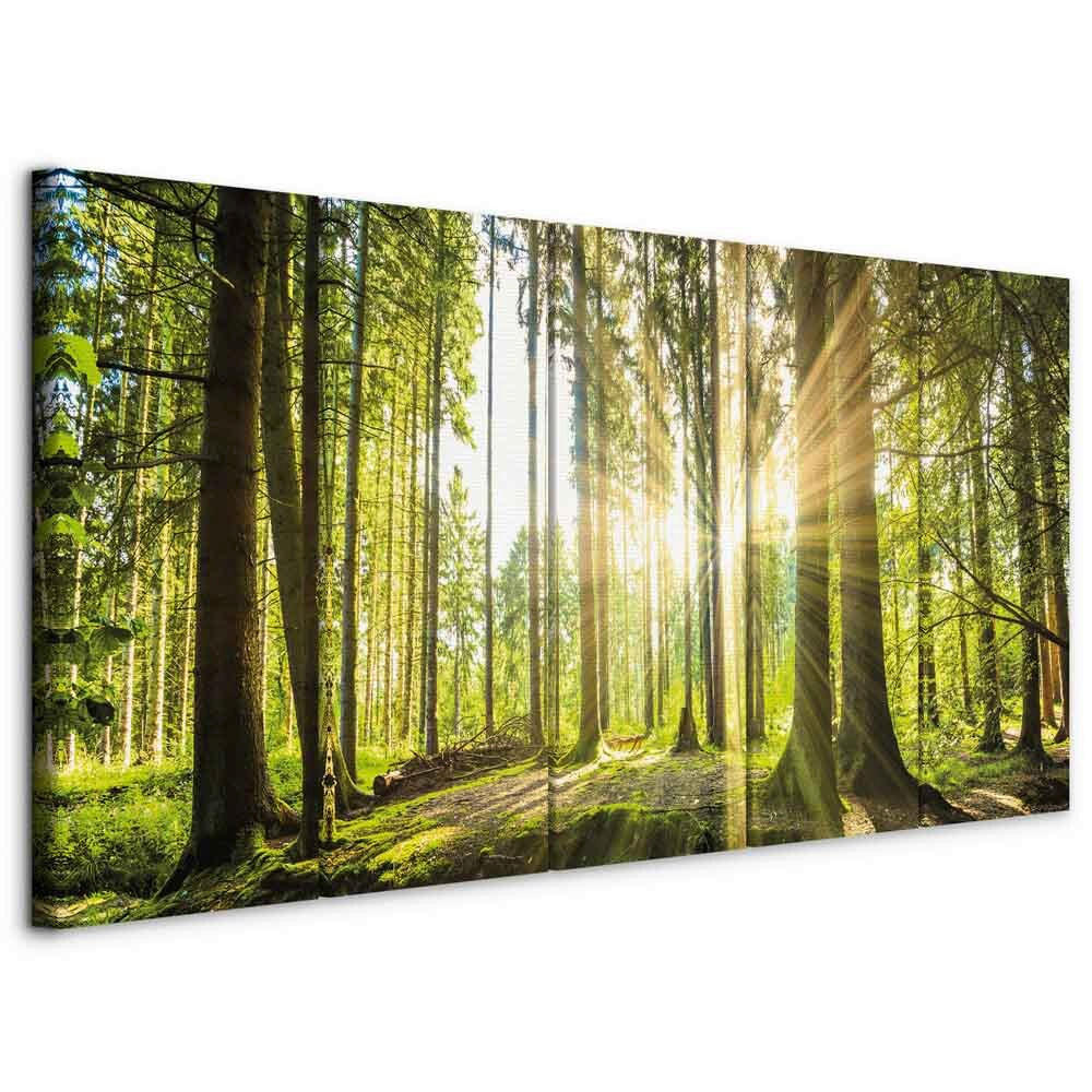 artgeist LEINWANDBILD, krajina a příroda, stromy, 200/80/1.2 cm