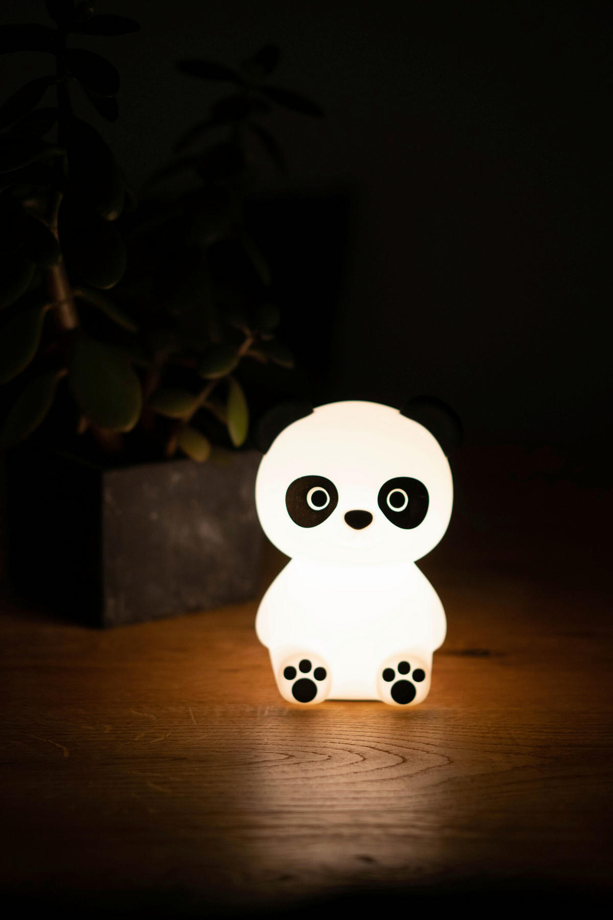 KINDER-NACHTLICHT Paddy Panda 9/12/9 cm   - Weiß, KONVENTIONELL, Kunststoff (9/12/9cm) - P & B