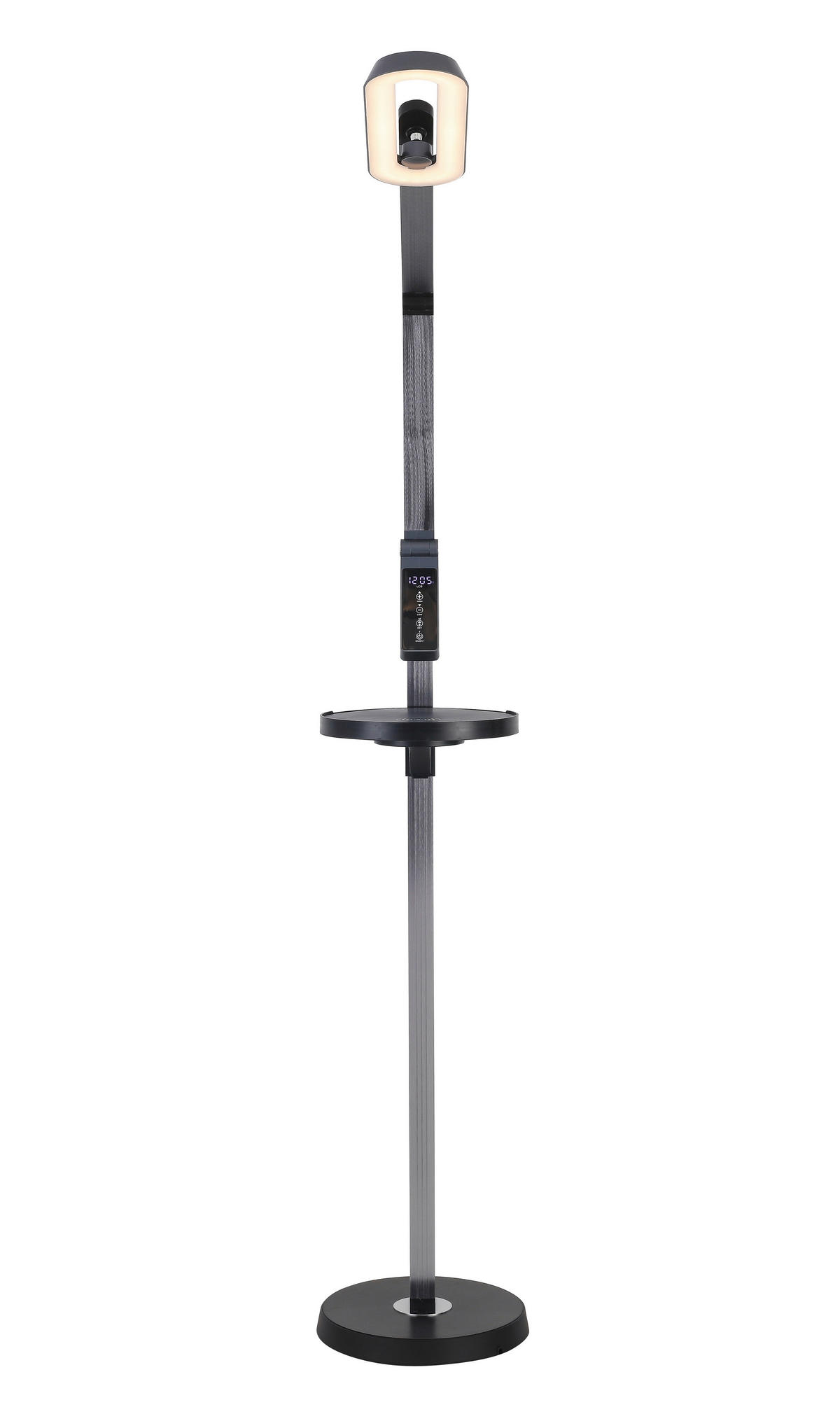 LED-STEHLEUCHTE - Anthrazit/Schwarz, Trend, Kunststoff/Metall (27,2/71/135cm) - Novel