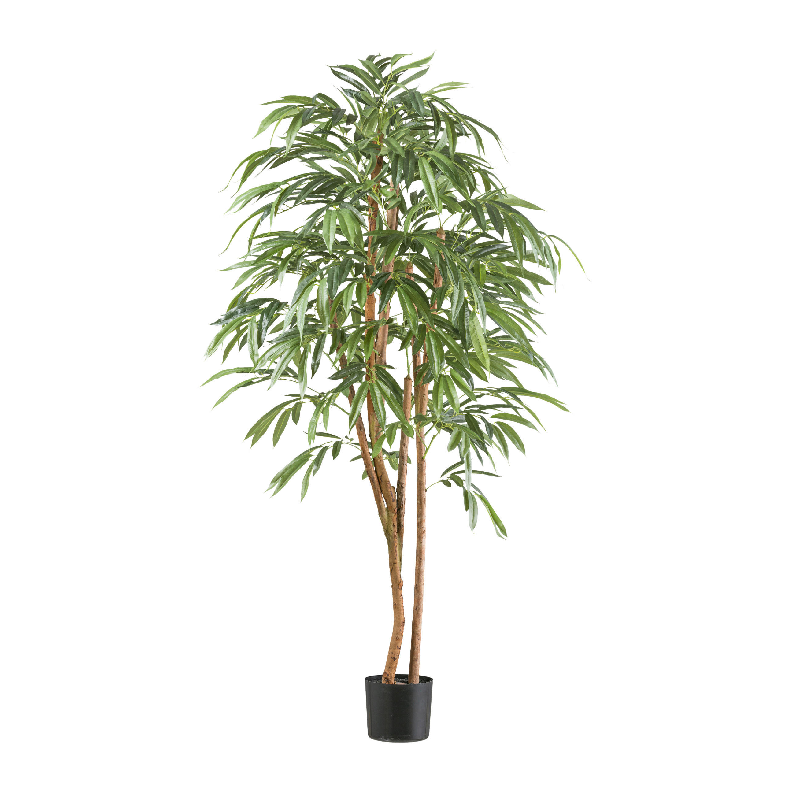 KUNSTPFLANZE Ficus Benjamina 170 cm  - Schwarz/Naturfarben, Design, Naturmaterialien/Kunststoff (170cm) - P & B