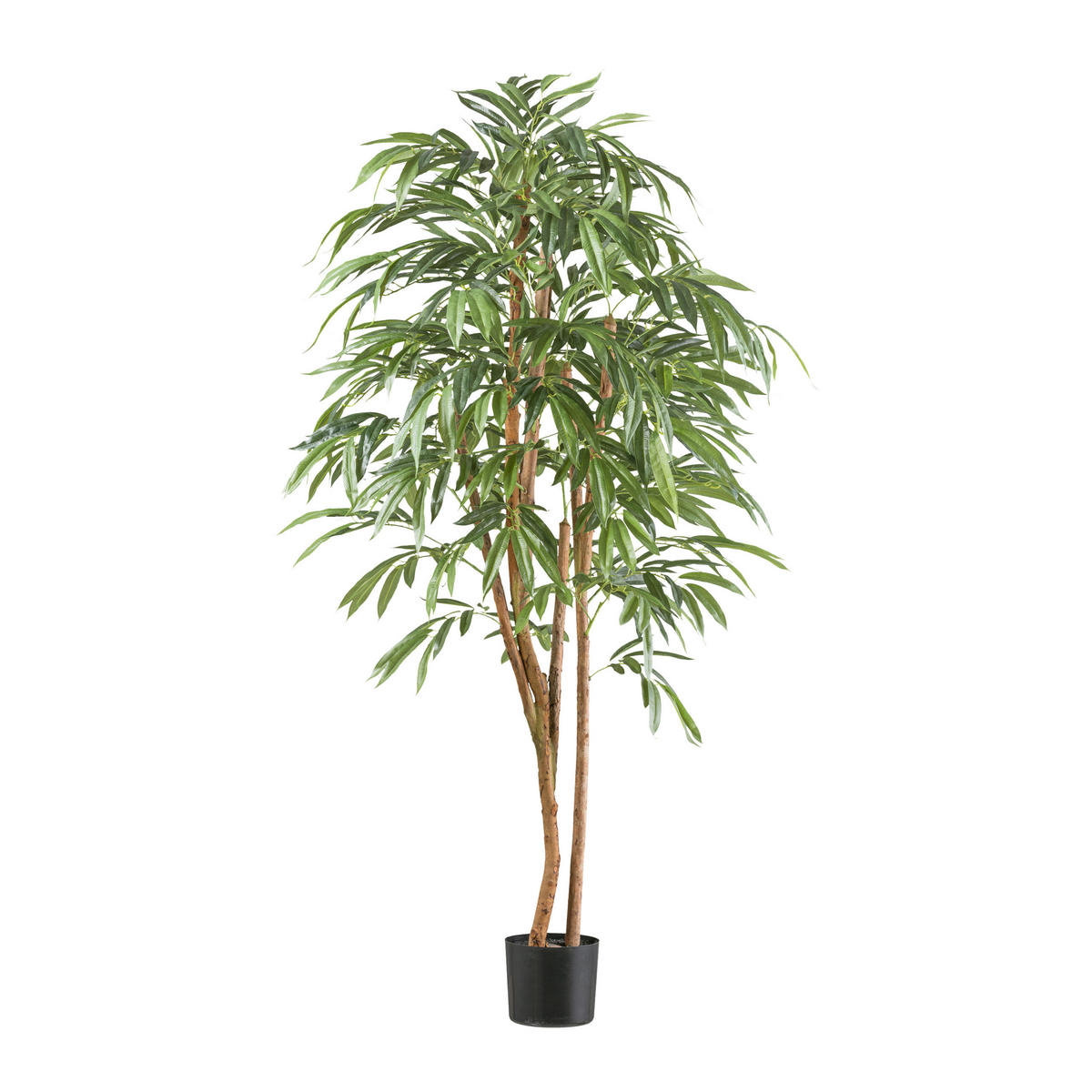 KUNSTPFLANZE Ficus Benjamina 170 cm  - Schwarz/Naturfarben, Design, Naturmaterialien/Kunststoff (170cm) - P & B