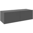 LOWBOARD Newniq in 120/36,7/45 cm - Anthrazit, Design, Holzwerkstoff (120/36,7/45cm) - Hom`in