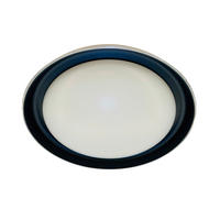 STROPNA LED-SVETILKA  Kora /2600 lm/4000 K// - temno siva/bela, Basics, kovina/umetna masa (43/8,5cm)