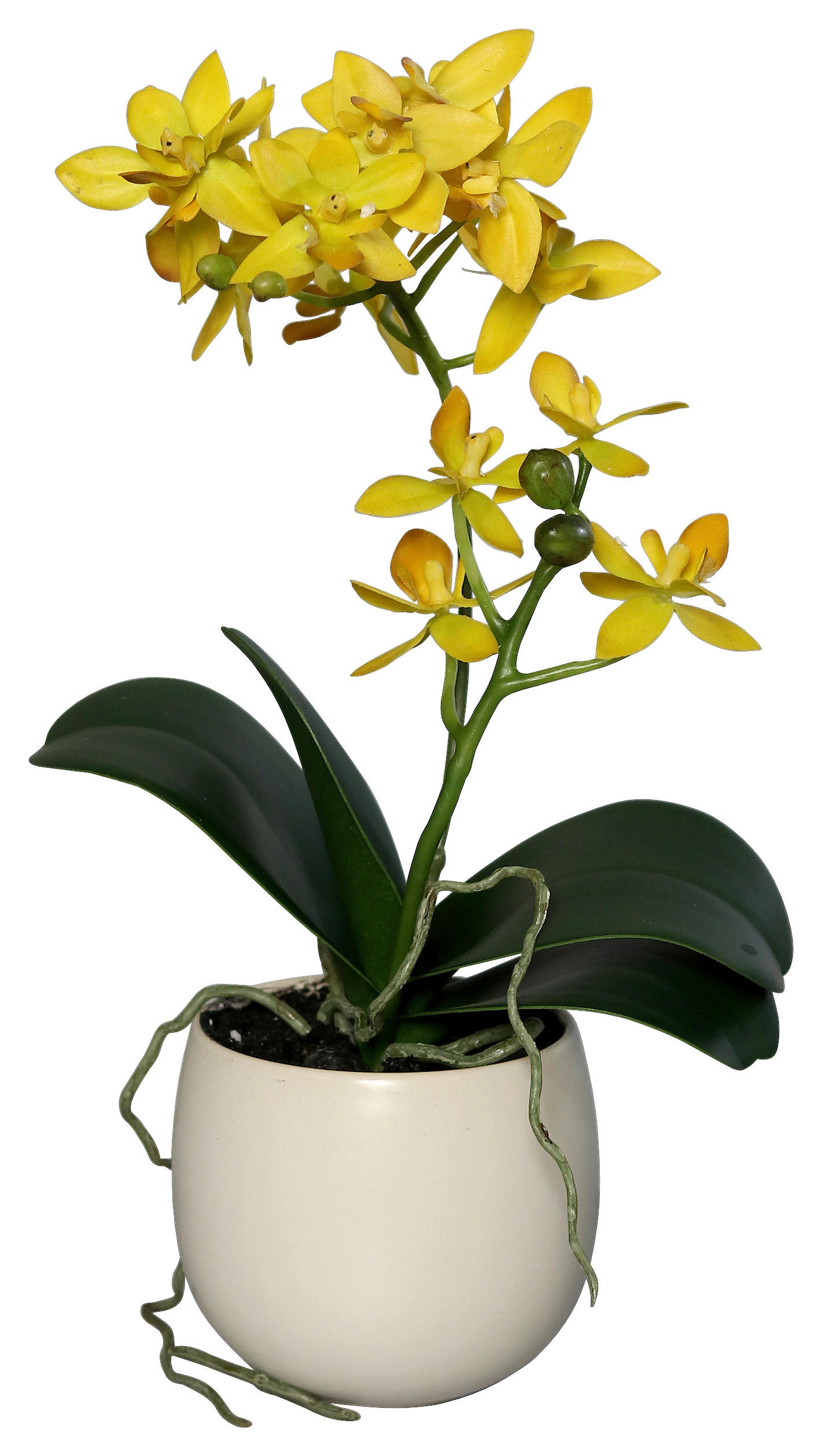 UMĚLÁ KVĚTINA orchidej 34 cm - zelená/žlutá, Basics, plast (34cm)