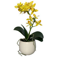 UMĚLÁ KVĚTINA orchidej 34 cm - zelená/žlutá, Basics, plast (34cm)