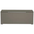 LOWBOARD Grau, Alufarben  110/58/45 cm  - Alufarben/Grau, Design, Glas/Holzwerkstoff (110/58/45cm) - Moderano
