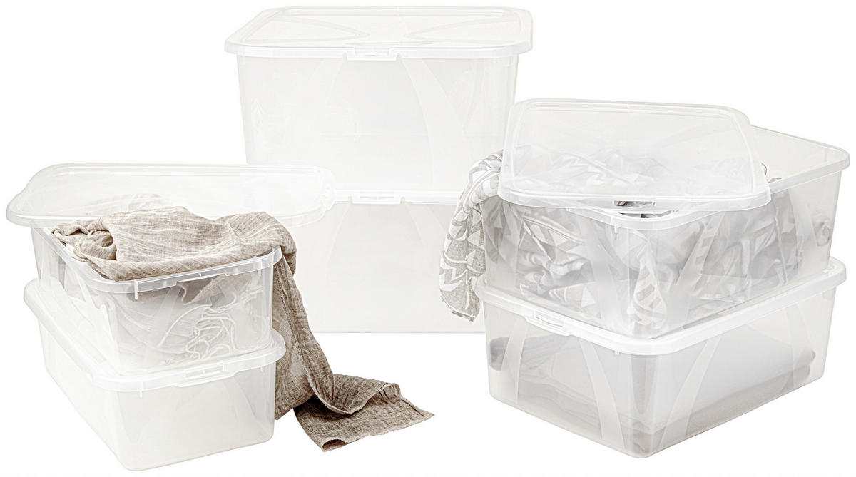 BOX MIT DECKEL ARCO  - Transparent, Basics, Kunststoff (42/35/17cm) - Rotho