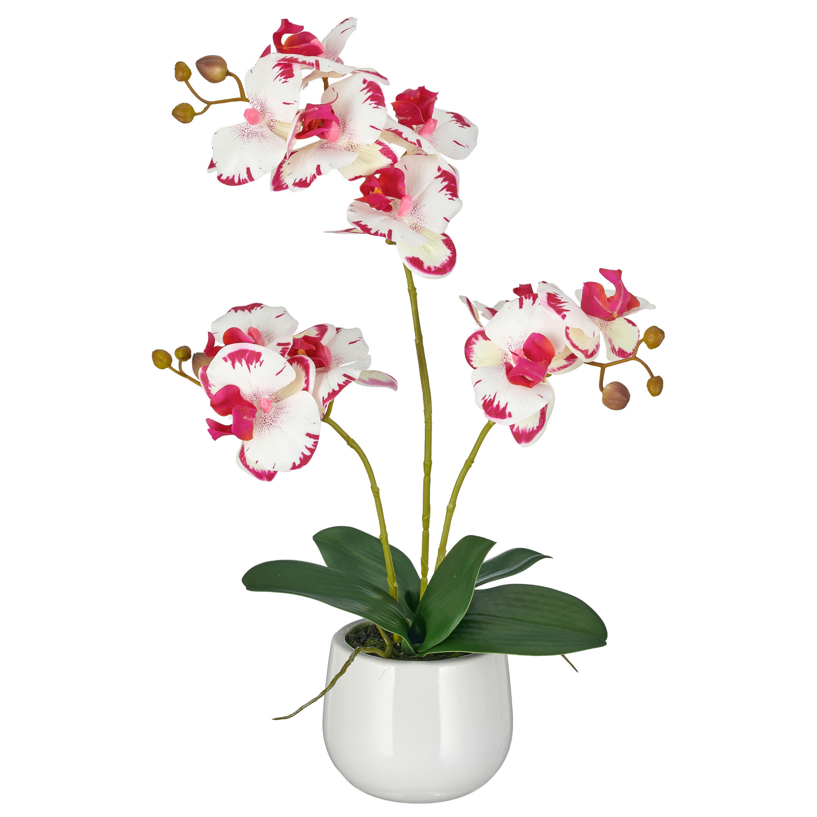 KUNSTBLUME Orchidee  - Pink/Creme, Basics, Keramik/Kunststoff (48cm)