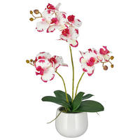 KUNSTBLUME Orchidee  - Pink/Creme, Basics, Keramik/Kunststoff (48cm)