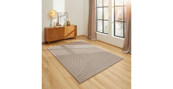 HOCHFLORTEPPICH 160/230 cm Siena Taupe  - Taupe, Design, Kunststoff/Textil (160/230cm) - Novel